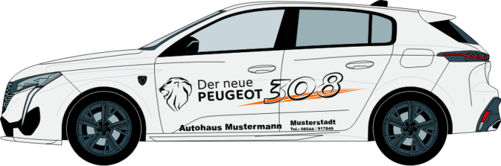 Peugeot 308 Nr. 655