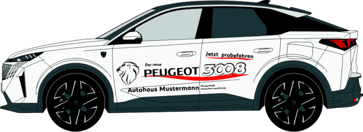 Peugeot 3008 Nr. 891