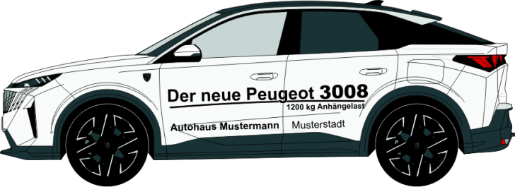 Peugeot 3008 Nr. 898