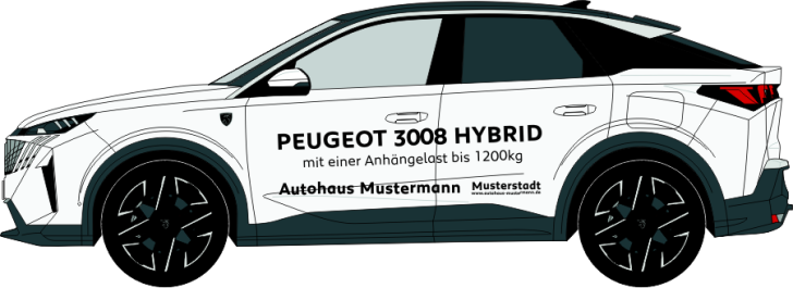 Peugeot 3008 Nr. 1281