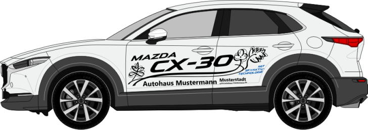 CX-30 Nr. 2314