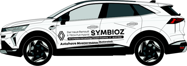 Renault Symboiz Nr 3041