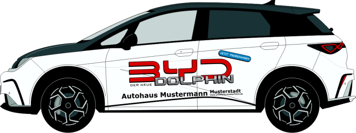 BYD Dolphin Nr 3233
